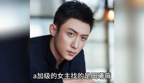 吃瓜八卦娱乐圈白鹿,瓜田里的明星风云录